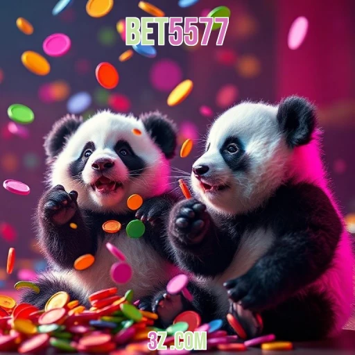 Análise: O que a bet5577 plataforma oferece de novo?